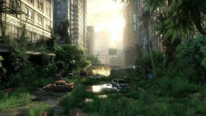 LAST OF US PSH - PS4