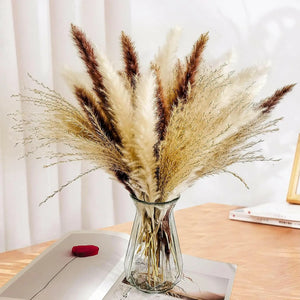 RbeuFolr Natural Dried Pampas Grass for Home Decor (Brown/White, 60 Pieces)