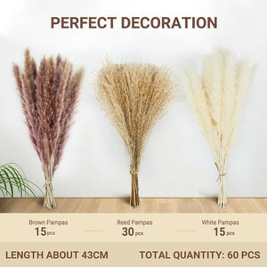 RbeuFolr Natural Dried Pampas Grass for Home Decor (Brown/White, 60 Pieces)