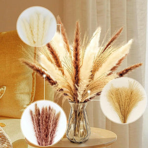 RbeuFolr Natural Dried Pampas Grass for Home Decor (Brown/White, 60 Pieces)